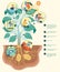 Diagram showing process of photosynthesis illustration.