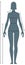 Diagrams of the female body measurements in full length