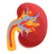 Dialysis kidney icon, cartoon style