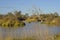 The Diamantina river at Birdsville.