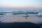 Diamond beach and drift ice at blue hour with lava sand in Iceland.