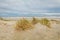 Diamond Beach sand dunes in Spring, Wildwood Crest, NJ