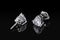 Diamond earrings. Luxury earrings gemstone diamond heart shape cut isolated on black background