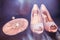 Diamond Encrusted Nude Colour Satin Bridal Clutch and Shoes on D