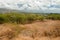 Diamond Head State Monument Park Trail close Honolulu on Oahu Ha