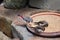 Diamond and Japanese finches eat birdseed from a large round plate at the zoo