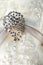 Diamond jewelry on vintage wedding dress