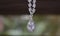 Diamond necklace as jewelry luxurious, expensive jewellery,