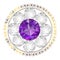Diamond purple flower shape vector illustration