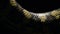 Diamond python snake scales passing - Morelia spilota
