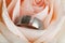 Diamond ring inside apricot colored rose blossom