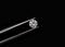 Diamond round shape in tweezers