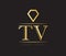 Diamond TV Logo