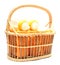 Diapers milk bottle and flask in basket