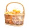 Diapers milk bottle and flask in basket