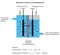 Diaphragm cell diagram for manufacturing chlorine