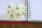 Diary flower copy-space notepaper