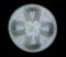 Diatom Aulacodiscus formosus