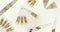 Diatoms, algae under microscopic view, phytoplankton, fossils, silica, golden yellow algae