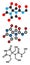 Diazolidinyl urea antimicrobial preservative molecule (formaldehyde releaser