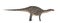 Dicraeosaurus. Dinosaur isolate on white