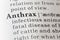 Dictionary definition of anthrax