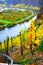 Dieblich, Germany - 10 28 2020:Colorful Mosel valley view in autumn
