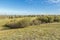 Diefenbaker Park in the city of Saskatoon, Canada