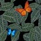 Dieffenbachia leaf pattern design with butterfly
