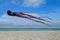 DIEPPE, FRANCE - SEPTEMBER 11, 2018: Kite festival. Octopus kites in the sky in Atlantic ocean