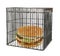 Diet concept - fast food behind bars