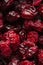 Diet healthy food. Dried cranberries cranberry fruit as background