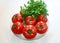 Diet vegetables tomatoes and parsley