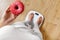 Diet. Woman On Weighing Scale, Holding Donut. Unhealthy Food. Ob