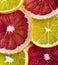 Diferent sliced citrus: orange and  grapefruit