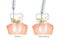 Difference of the Periodontal Scaling and Root Planing. Oral hygiene and conventional periodontal therapy. Human teeth