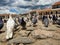 Different actitudes of a flock of pigeons in the not so clean main square 2