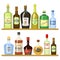 Different alcoholic drinks in bottles. Alcohol bottle drink whiskey and champagne, vodka and martini, brandy and rum