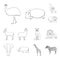 Different animals outline icons in set collection for design. Bird, predator and herbivore vector symbol stock web