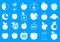 Different apple icon blue set