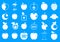 Different apple icon blue set vector