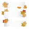 Different Autumn Web Banner With Colorful Leafes