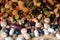 Different beans scattered on a wooden surface closeup. Naturel organic food background