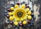 Different berries on a wooden background with sunflower, top view