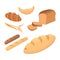 Different breads and bakery products vector illustrations. Buns for breakfast. set bake food and toast isolated.