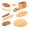 Different breads and bakery products vector illustrations. Buns for breakfast. set bake food and toast isolated.