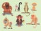 Different breads monkey character animal wild zoo ape chimpanzee vector illustration.