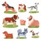 Different breeds of dog set, purebred pets animal colorful Illustrations