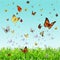Different butterflies flying over the green grass