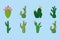 Different cactus plant botanical decoration icons